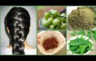 Homemade herbal shampoo for hair growth