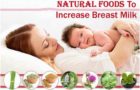 स्तन के दूध को बढ़ाने के लिए भोजन Food To Increase Breast Milk