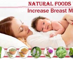 स्तन के दूध को बढ़ाने के लिए भोजन Food To Increase Breast Milk